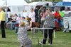 houndshow2012a_320