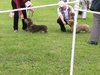 540060_378559208860153_1016820996_n