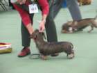 img_4286_small.jpg