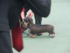 img_4284_small.jpg