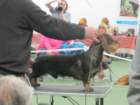img_4374_small.jpg
