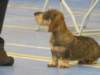 img_4154_small.jpg