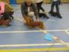 img_3938_small.jpg