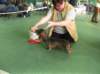 dscf1667_small.jpg