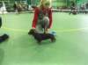 dscf1672_small.jpg