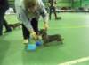 dscf1709_small.jpg