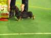 dscf7199_small.jpg