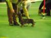 dscf7227_small.jpg