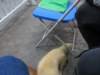 img_8044_small.jpg