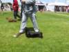 img_7334_small.jpg