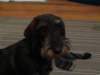 img_7345_small.jpg