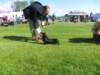 img_7194_small.jpg