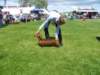 img_7267_small.jpg