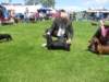 img_7278_small.jpg