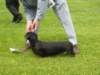img_7325_small.jpg