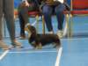 img_7466_small.jpg