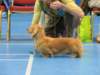 img_7490_small.jpg