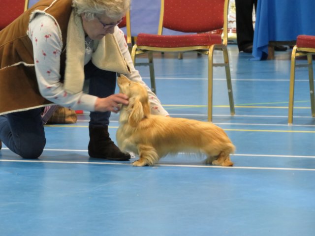 img_7598.jpg