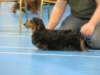 img_7383_small.jpg