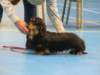 img_7439_small.jpg