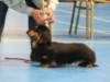 img_7441_small.jpg