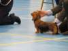 img_7551_small.jpg