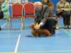 img_7749_small.jpg