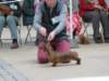 img_7916_small.jpg