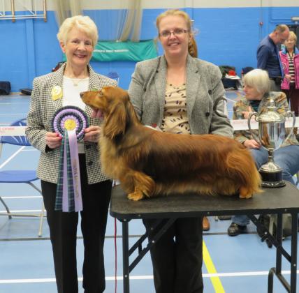 Scottish Dachshund Club 2018